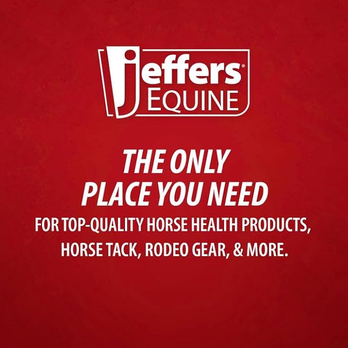Jeffers Equine Simply Natural Horse Shampoo – pH Balanced, Sulfate Free Wash for Horses, Ponies & Foals – Detergent Free – Fresh Grooming Supply for Summer, Outdoor, Indoor Use – 1 Gallon