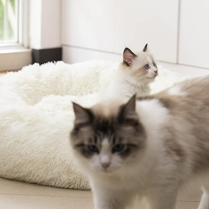 Anti Anxiety Round Fluffy Plush Faux Fur Warm Washable Dog Bed & Cat Bed, Original Bed for Small Medium Large Pets,Used to Relieve Joints and Improve Sleep(20"/24"/27'') (24", White)