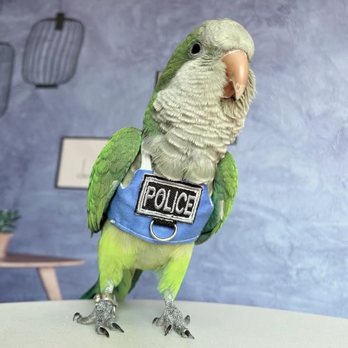 Bird Flight Harness Vest, Parrot Flight Suit with Leash, Bird Flying Clothes with Rope and Handle for Outdoor Activities (with Leash,Green-cheeked Conure)