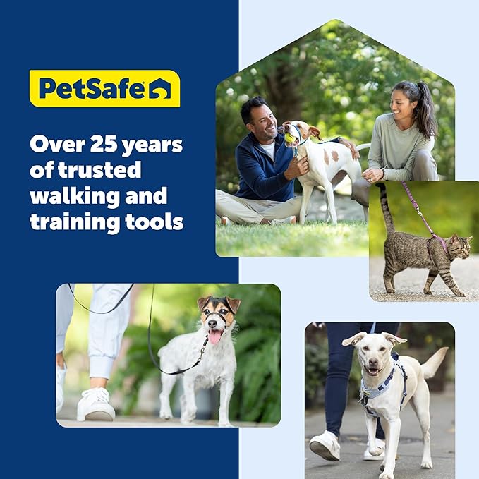 PetSafe Gentle Leader Headcollar No-Pull Dog Collar - Helps Improve Walks - Durable Nylon Construction - Padded Nose Loop - Adjustable Fit - Comfort Walking Halter - Large, Deep Purple