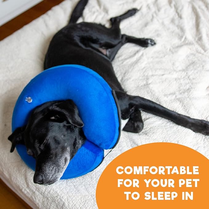 BENCMATE Inflatable Dog Cone Collar Alternative, Soft Dog Cone for Small Medium Large Dogs and Cats, Neck Recovery ECollar Donut Collar After Surgery (Medium, Purple)