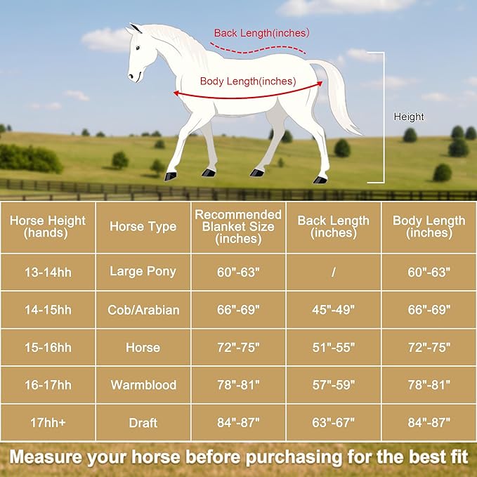 Horse Fleece Cooler, Blanket Liner - 300g Anti-Pilling Fleece, Moisture-Wicking, Cooling & Drying for Post-Workout, Bath & Travel, Prevent Overheating & Chilling Black 72