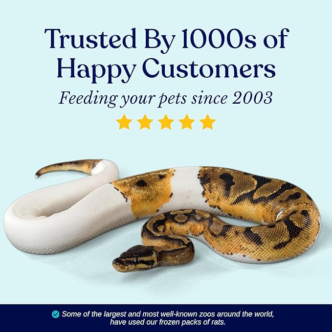 MiceDirect 100 Fuzzie Rats: Pack of Frozen Fuzzie Feeder Rats - Food for Corn Snakes, Ball Pythons, Lizards and Other Pet Reptiles - Freshest Snake Feed Supplies