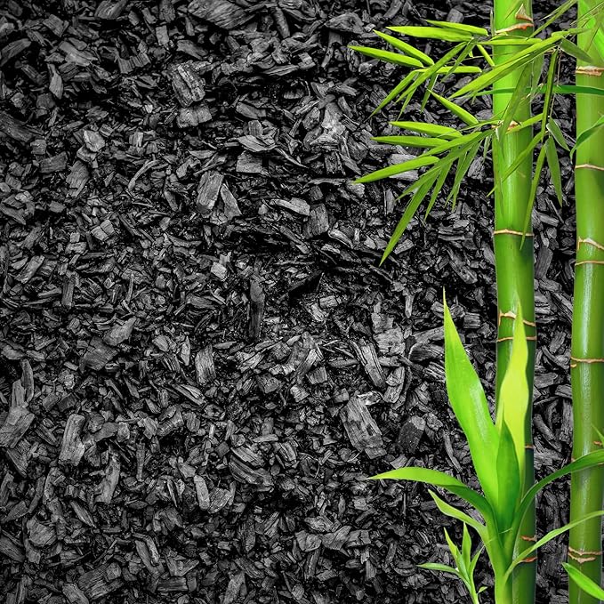Horticultural Charcoal for Plants ā Organic Bio Char Soil Amendment for Terrariums, Indoor Plants & Gardening, Made in USA (20 quarts)