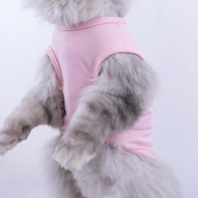 Custom Dog Birthday Shirt,Personalized Pet Apparel Print with Name Age Number,Pet Birthday Outfit,Lightweight Breathable Cotton Vest for Small Medium Large Dogs Cat (White, X-Large)