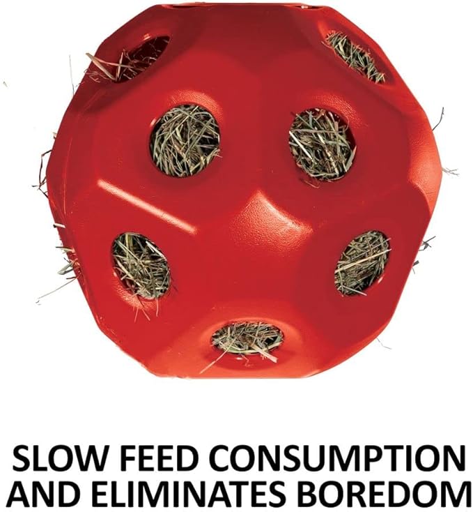 Schneiders Slow Feed Hay Ball Feeder for Horses | Color Blue Horse Stable Companion | Slow Feed Consumption | Boredom Buster | Durable Polyethylene