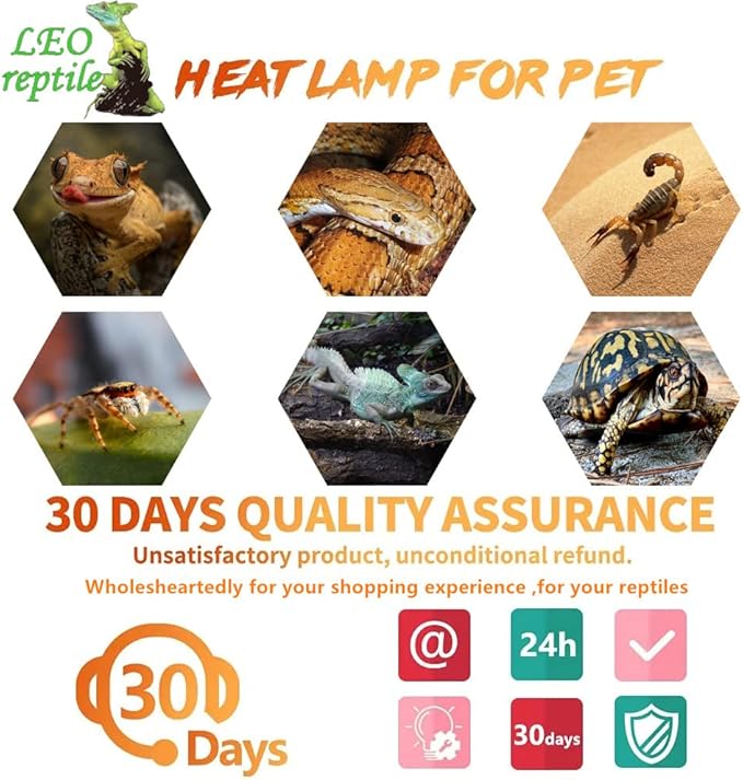 Leoterra Reptile Heat Lamp Bulb 50W 2-Pack, UVA Basking Bulb for Bearded Dragon, Tortoise, Gecko & Chameleon, E26 Base Reptile Heating Lamp for Terrarium, Long-Lasting, Applicable Thermostats 120V