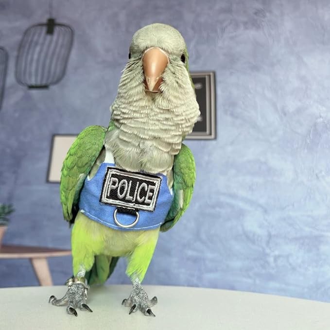 Bird Flight Harness Vest, Parrot Flight Suit with Leash, Bird Flying Clothes with Rope and Handle for Outdoor Activities (Without Leash,Lorikeet)