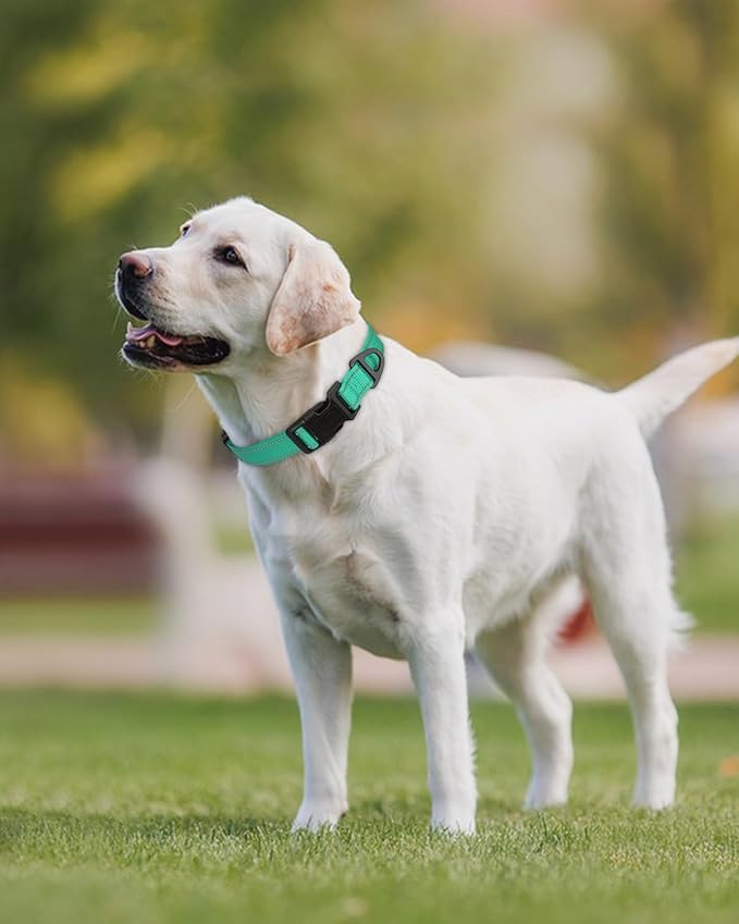 Joytale Reflective Dog Collar, Adjustable Nylon Pet Collar with Quick-Release Buckle for Medium Dogs, Teal, M