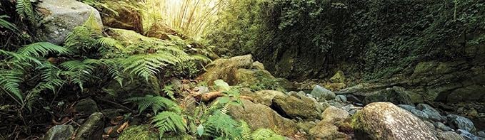 Galápagos (05400) Terrarium Background Clings, 11.125" x 36", Woodland