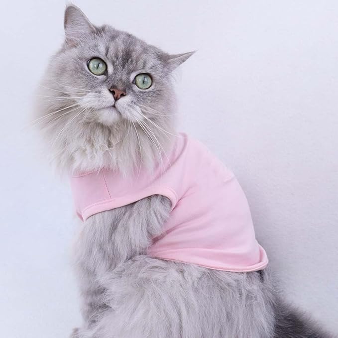 Custom Dog Birthday Shirt,Personalized Pet Apparel Print with Name Age Number,Pet Birthday Outfit,Lightweight Breathable Cotton Vest for Small Medium Large Dogs Cat (White + Black Border, X-Large)