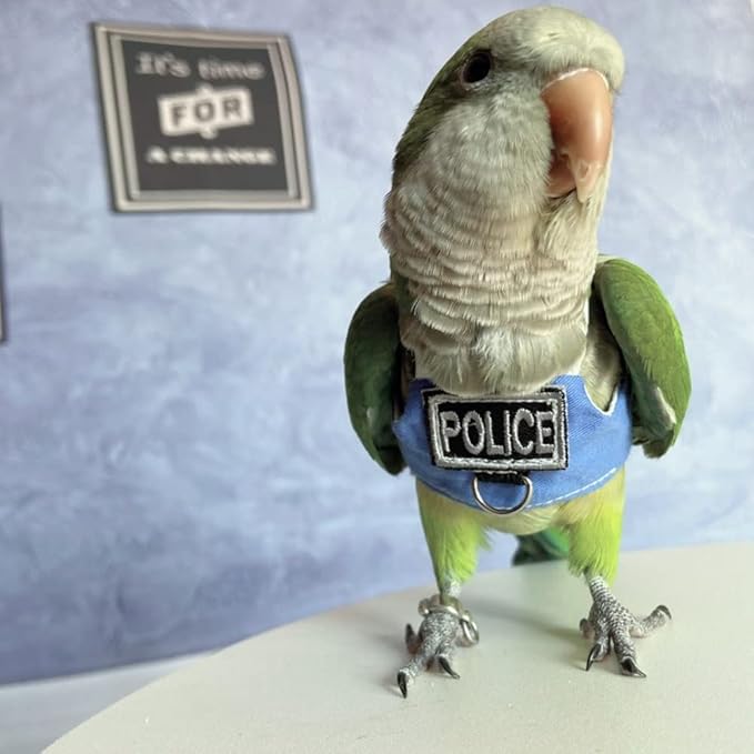 Bird Flight Harness Vest, Parrot Flight Suit with Leash, Bird Flying Clothes with Rope and Handle for Outdoor Activities (Without Leash,Budgie)