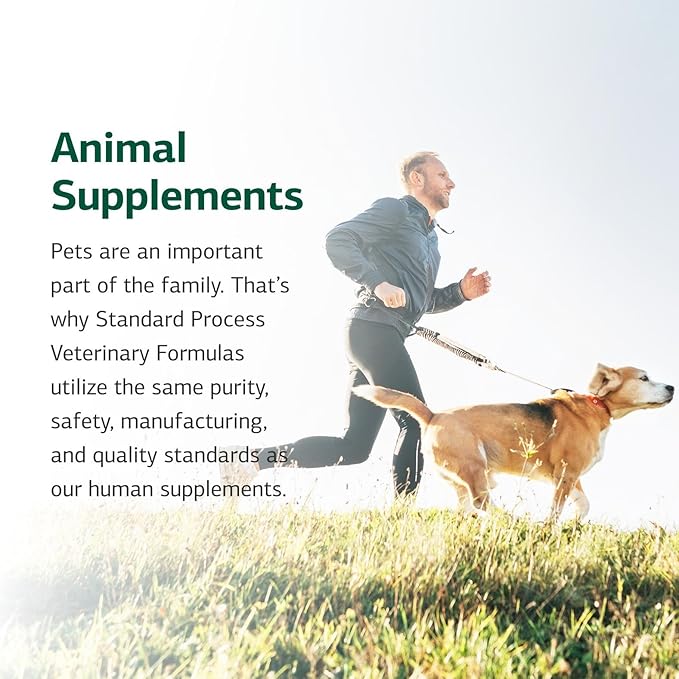 Standard Process Inc. Feline Cardiac Support - Cardiovascular System Supplement for Felines - Dietary Cat Supplement to Support Heart Health & Function - Nutritional Tablet Supplement - 90 Tablets