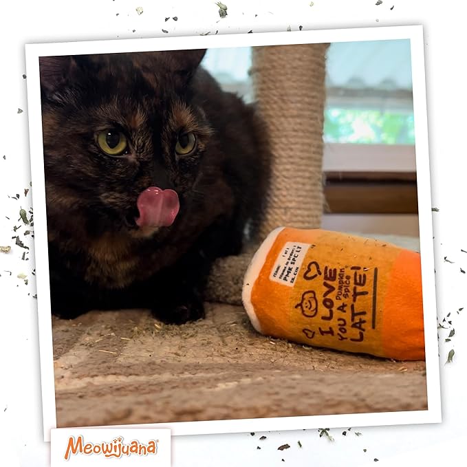 Meowijuana Refillable Cat Toys | Get Spooked - Pumpkin Spice Latte Catnip Toy | Includes Potent Hand Harvested Catnip Grown in North America | Promotes Play and Cat Health