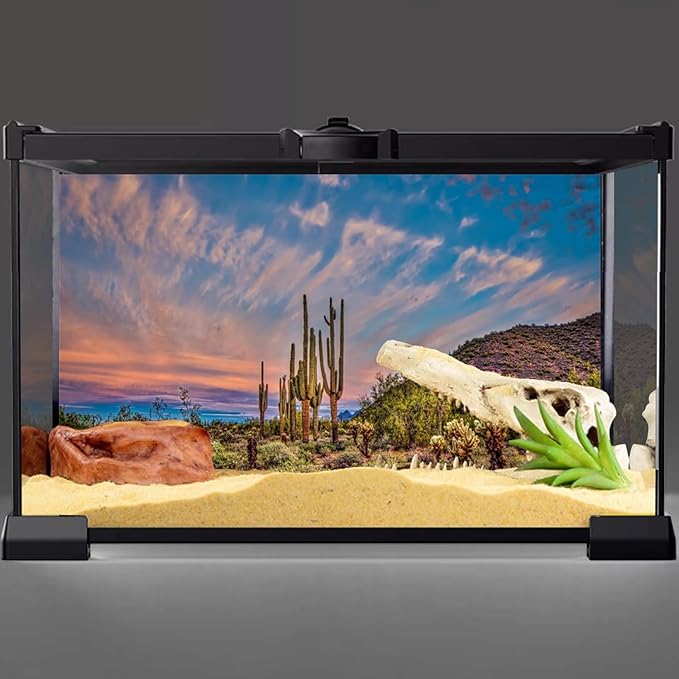 AWERT 48x18 inches Terrarium Background Blue Sky Cloud Huge Cactus Oasis Gobi Reptile Habitat Background Vinyl
