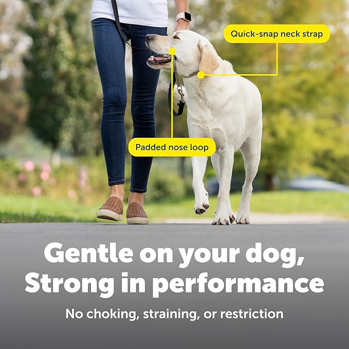 PetSafe Gentle Leader Headcollar No-Pull Dog Collar - Helps Improve Walks - Durable Nylon Construction - Padded Nose Loop - Adjustable Fit - Comfort Walking Halter - Small, Charcoal
