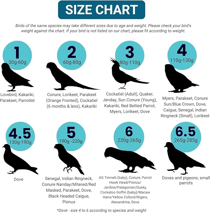 Bev's Bird Boutique Regular Flyper Adjustable Bird Diaper | Reusable, Washable Cloth | Comfort Fit for Parrot, Cockatiels, & Other Small Birds | Fashionable Avian Accessories, Navy & Red, Size 8.5