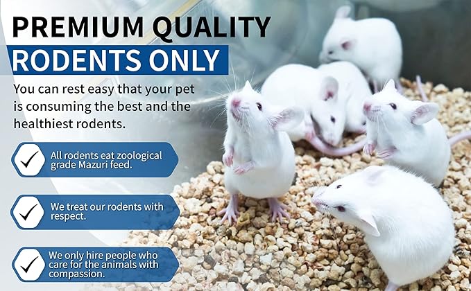 MiceDirect 15 Jumbo Rats: Fresh Fast Frozen Food for Corn Snakes Ball Pythons