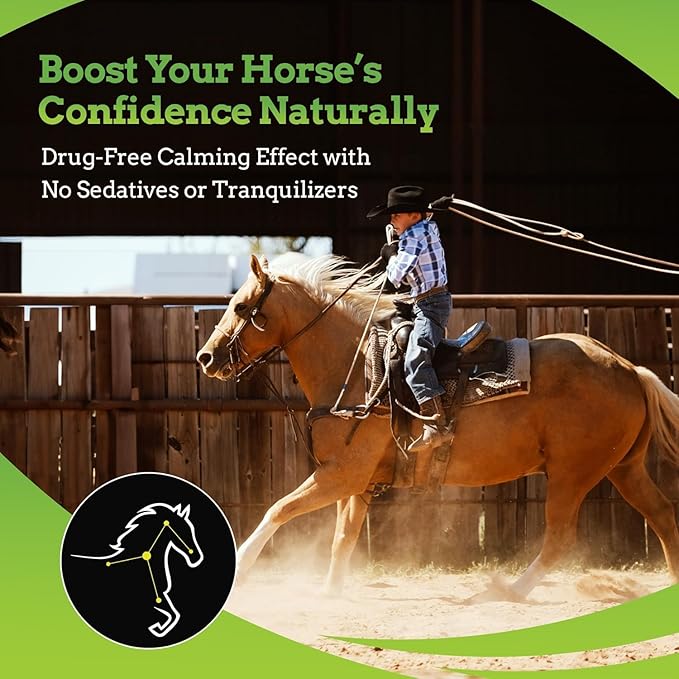 SynChill AF Calming Gel for Nervous Horses - Single Serving - Advanced Formula with L-Theanine, Increased Potency, 100% Natural Supplement, Disposition & Confidence Support for Horses - 25 Pack