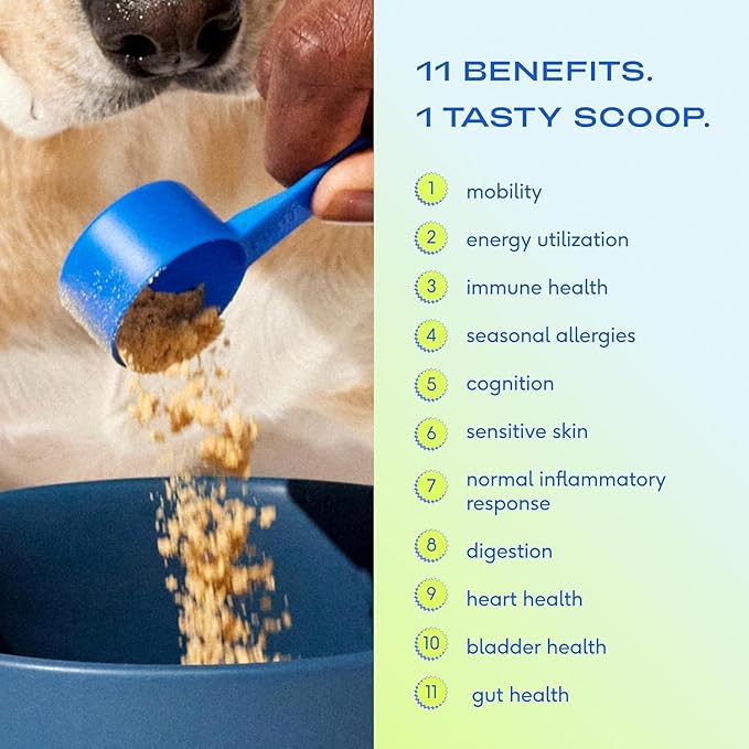 Native Pet The Daily Dog Supplement (30 Scoops) & Salmon Oil for Dogs & Cats (8 Oz) - 11 in 1 Multivitamin & Pure Omega-3 Fish Oil Supplement for Skin & Coat, Joint, Heart Health & Anti-Inflammatory