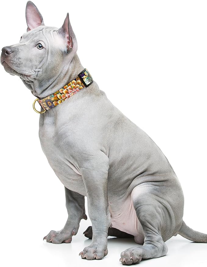 Reflective Dog Collar for Medium Dogs, Cute Boho Adjustable Heavy-Duty Nylon Puppy Collar for Boy and Girl Female, Soft Pet Accessories with Quick Release Buckle, Colorful Mandala