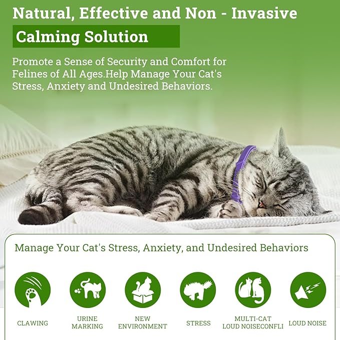 2 Diffusers& 6 Refills +2pcs Calming Collar Cat Calming Diffuser, Plug in Diffuser Cat Pheromone Calming Diffuser Starter Kit Helps Ruduce Anxious, Anti-Stress & Comforts Cats