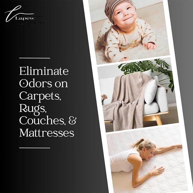 Rosé All Day Carpet Freshener Powder: Powerful Odor Eliminator for Home, Upholstery Deodorizer, Carpet Deodorizer, Pet Urine, Cat Litter Box - Rosé All Day Fragrance.