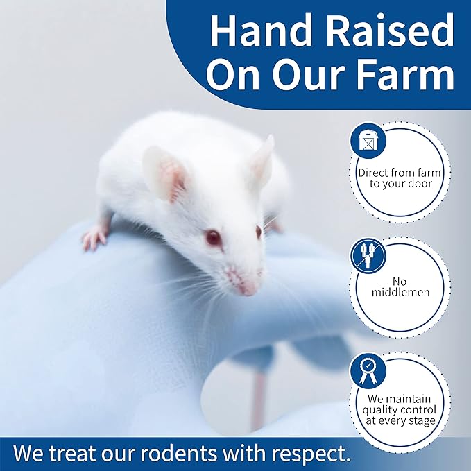 MiceDirect 15 Jumbo Rats: Fresh Fast Frozen Food for Corn Snakes Ball Pythons