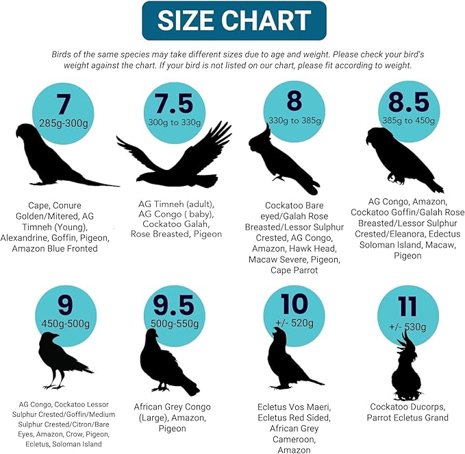 Bev's Bird Boutique Regular Flyper Adjustable Bird Diaper | Reusable, Washable Cloth | Comfort Fit for Parrot, Cockatiels, & Other Small Birds | Fashionable Avian Accessories, Regal, Size 6