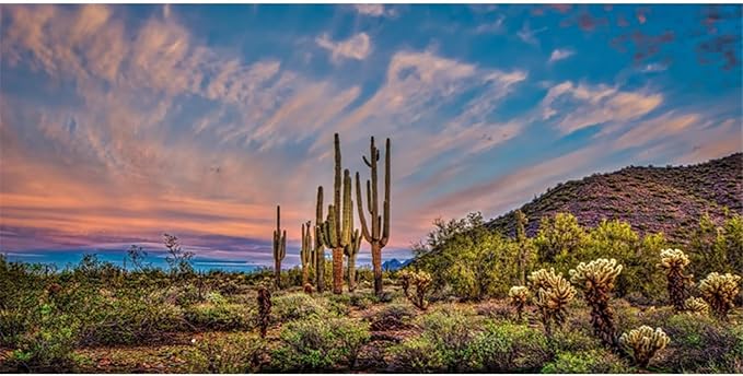 AWERT 24x16 inches Terrarium Background Blue Sky Cloud Huge Cactus Oasis Gobi Reptile Habitat Background Vinyl