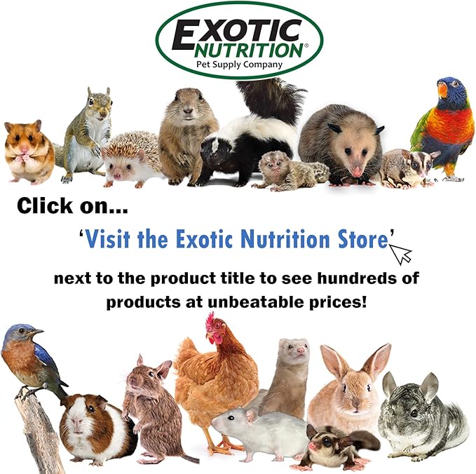 Mansion Cage (6-Level) - Durable 100% All-Metal Multi-Level Cage for Chinchillas, Rats, Ferrets, Prairie Dogs, Degus, Mice