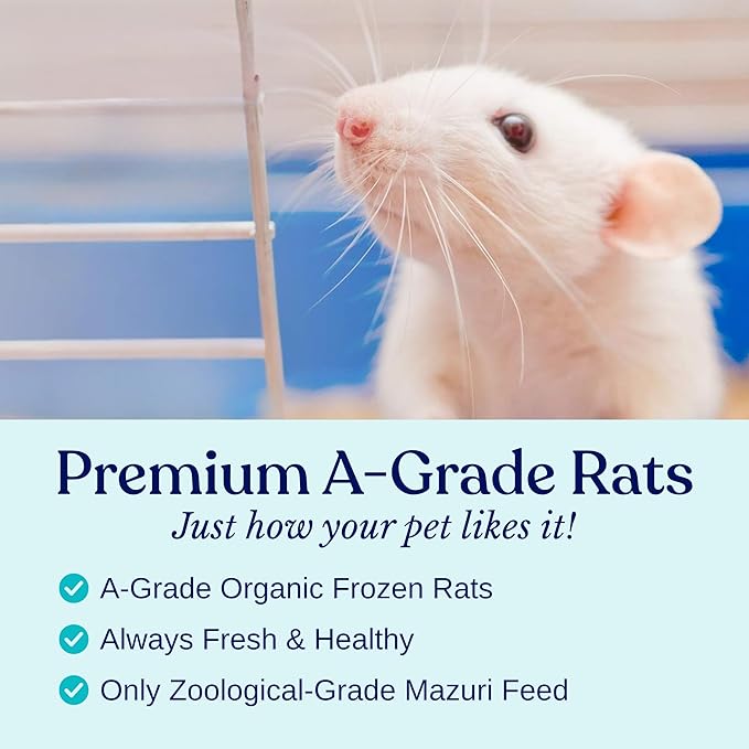 MiceDirect Frozen Mice Small Pinkie Feeder Snake Food for Corn Snakes Ball Pythons Lizards (.5-1 inch)(50 Count)