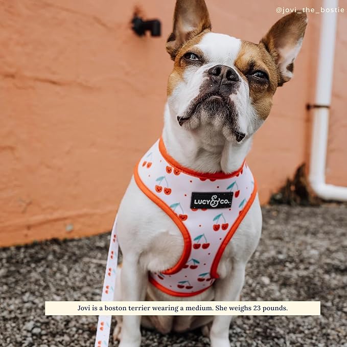 Lucy & Co. Cheery Cherries, Cute Reversible Dog Harness Walking Halter - Best Designer Pet Harnesses for XS - XL Dogs - Padded Adjustable Vest for Easy Walking (Small)