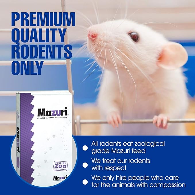 MiceDirect EST. 2003 30 Frozen Mice Combo Pack of 15 Small Fuzzies and 15 Fuzzies Feeders Snake Food for Corn Snakes Ball Pythons Lizards (.5-1.5 in)(105 Grams Min)