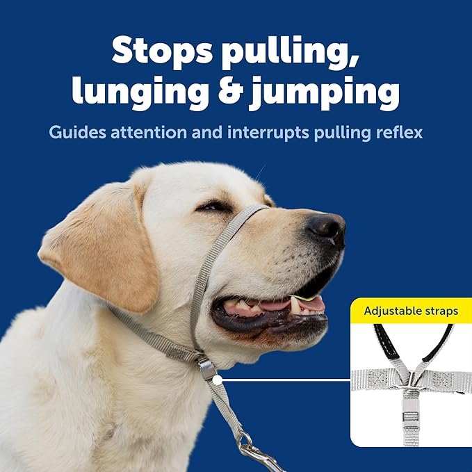 PetSafe Gentle Leader Headcollar No-Pull Dog Collar - Helps Improve Walks - Durable Nylon Construction - Padded Nose Loop - Adjustable Fit - Comfort Walking Halter - Medium, Black