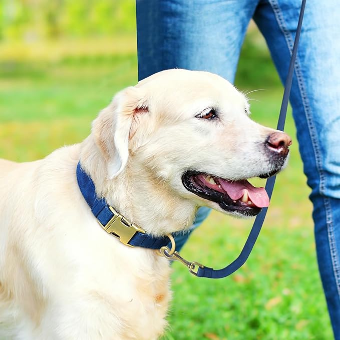 Genuine Leather Dog Collar - Adjustable Pet Collar with Quick Release Metal Buckle, Soft Skin Friendly Real Leather Collar for Small, Medium, Large Dogs (Blue, M：Fit 12-20" Neck)