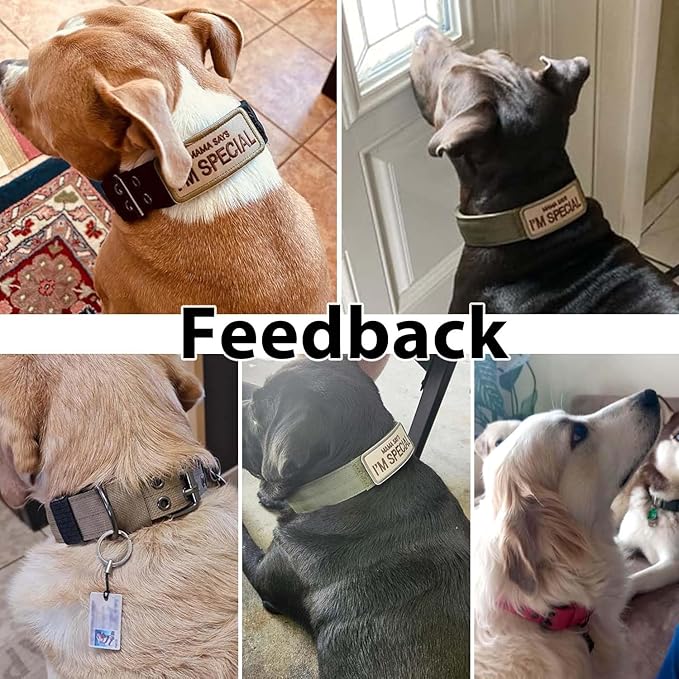 Tactical Dog Collar Military Adjustable Dog Collars Soft Nylon Training Collar with Patch Heavy Duty Metal Buckle Collars for Medium Large Dogs (Green, XL)