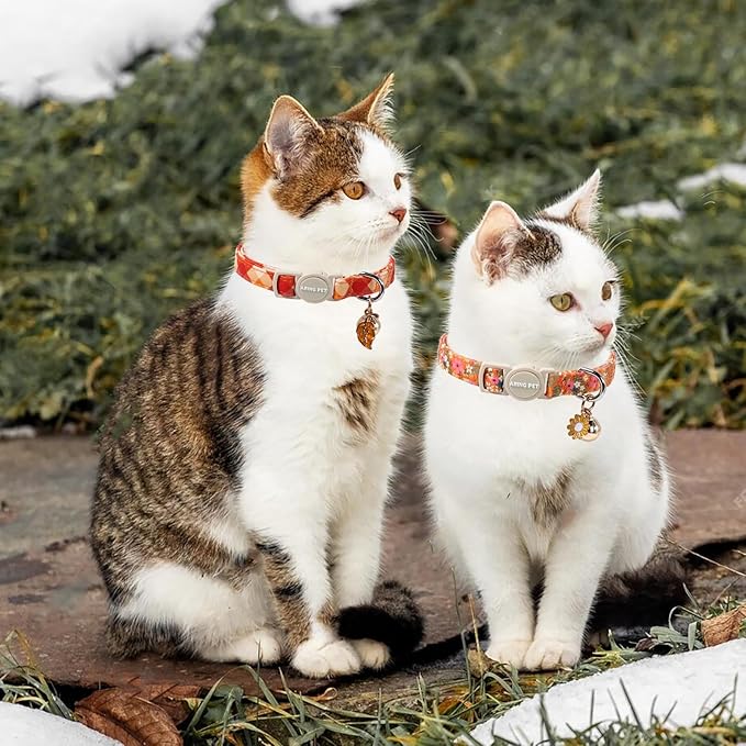 ARING PET 2 Pack Cat Collars, Breakaway Cotton Fall Halloween Kitten Collar with Bells for Girl Boy Cats Floral & Orange Plaid