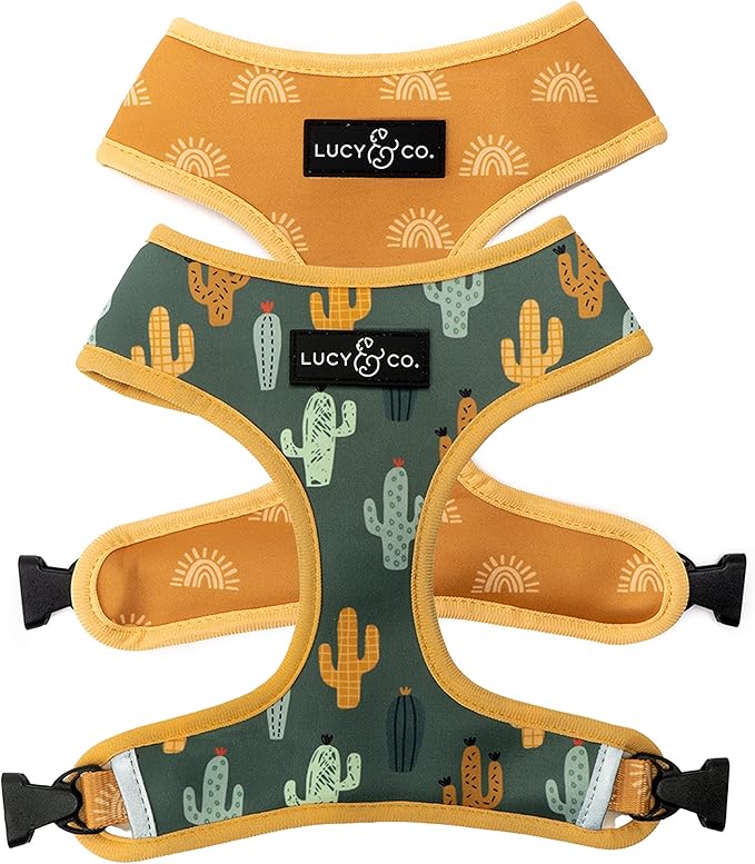 Lucy & Co. Looking Sharp, Cute Reversible Dog Harness Walking Halter - Best Designer Pet Harnesses for Medium Dogs - Padded Adjustable Vest for Easy Walking (X-Small)