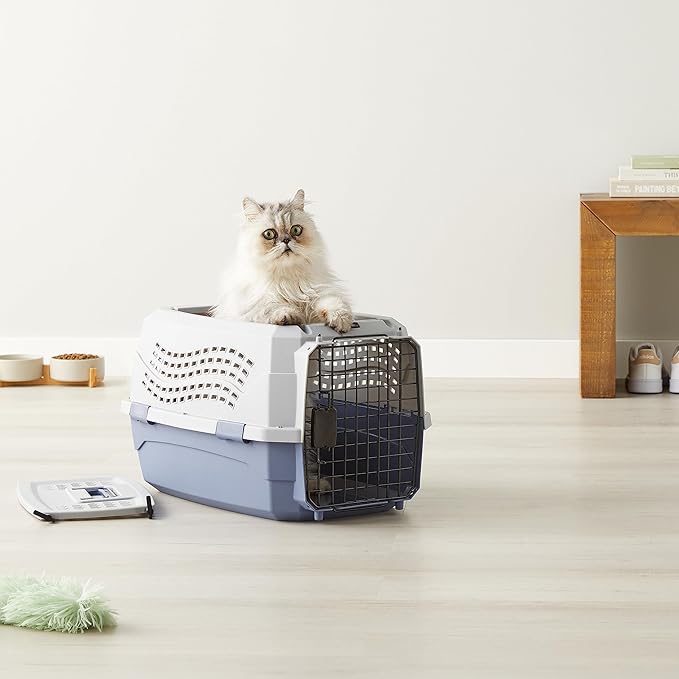 Amazon Basics 2-Door Top-Load Hard-Sided Dogs, Cats Pet Travel Carrier, Gray & Blue, 22.8"L x 15.0"W x 13.0"H