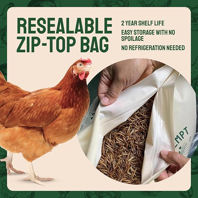 Hatortempt Dried Mealworm Bird Food - 20 Lb Bulk Pack - High Protein Poultry & Chicken Feed - Duck Food & Wild Bird Feed & Quail Treats