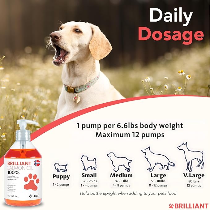 Brilliant Omega 3 Salmon Oil for Dogs & Cats - Norwegian Fish Oil Supplement with EPA & DHA Fatty Acids for Shedding, Allergy, Itching, Dry Skin & Joint Health - Skin and Coat Fish Oil Liquid, 40 Oz