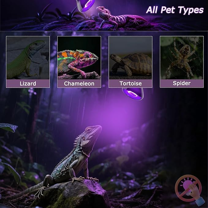 60W Reptile Night Light Bulb – 2.5" Small Purple Moonlight UVA Heat Lamp for Bearded Dragons, Lizards, Snakes, Chameleons, Amphibians, Turtles – Indoor Terrarium Basking Lamp, 2-Pack