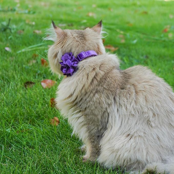 azuza 2 Pack Cat Collar Floral with Bell and Removable Flower Bowtie Breakaway Adjustable Velvet Fabric Cat Collar for Pets and Daily Decoration，Hot Pink & Purple