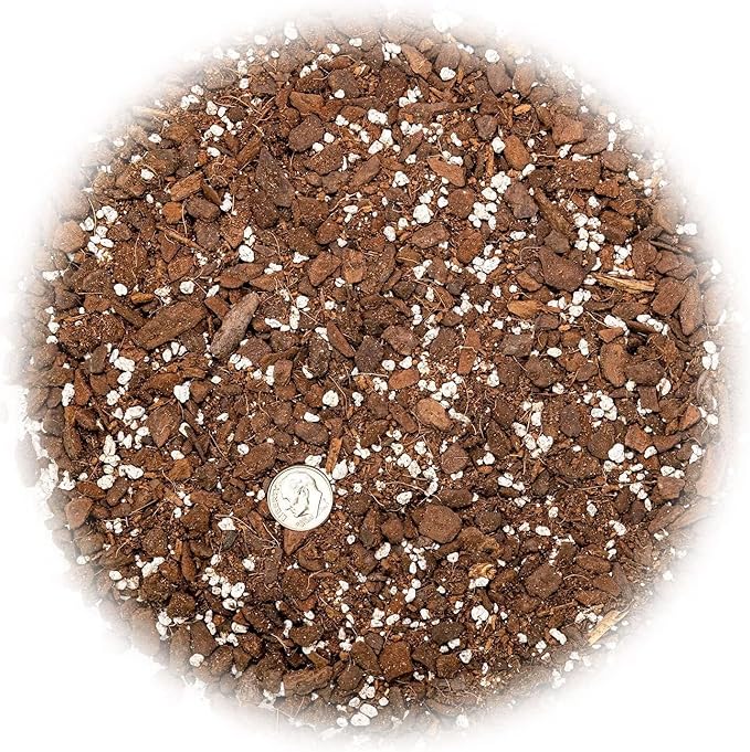 Gardenera Monstera Dubia Soil Mix - Promotes Healthy Root Growth and Moisture Retention - 2 Quart