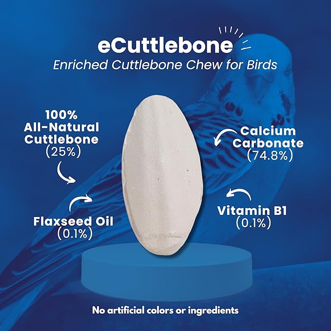 Penn-Plax Bird-Life (BA655) Natural E Cuttlebones | Enriched with Omega 3 and Vitamin B1 | Great for All Birds | 2 Cuttlebone Treats per Package