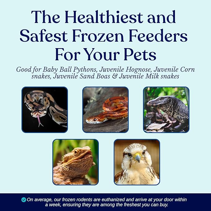 MiceDirect 75 Frozen Rat Fuzzies Feeders Snake Food for Adult Corn Snakes Ball Pythons (2-2.5 in)(75 Count)(675 Grams Min)