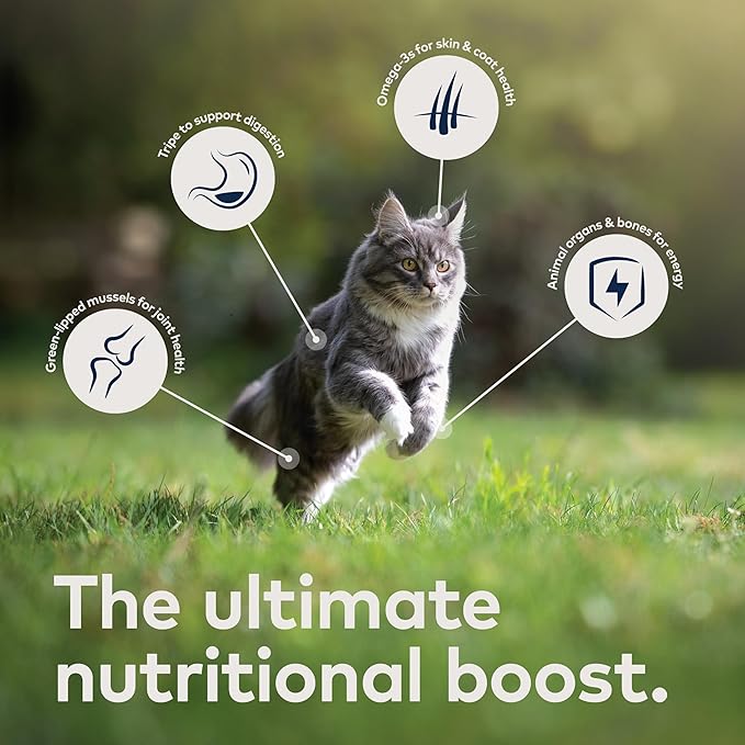 ZIWI Peak Wet Cat Food – All Natural, High Protein, Grain Free, Limited Ingredient, with Superfoods (Chicken, Case of 6, 3oz Cans)
