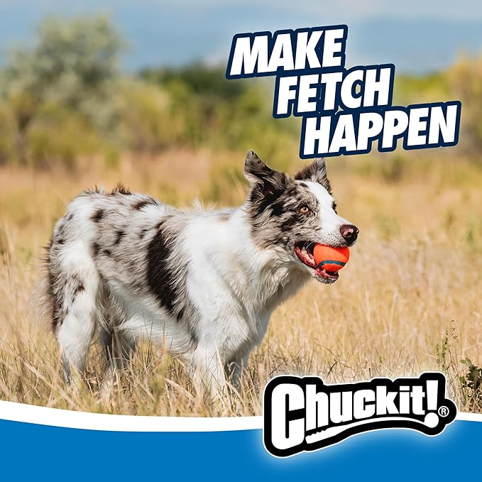 Chuckit! Ultra Dog Ball & Launcher Bundle Classic 26M 26" Length with 2 Pack Medium (2.5") Bouncy Fetch Balls for Dogs 20-60 lbs, Dog Fetch Ball Thrower
