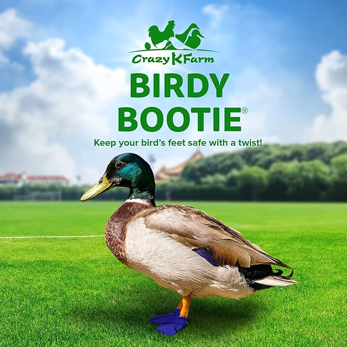 Duck Shoes for Injured Feet – Protective Neoprene Footwear for Ducks, Protective Shoes for Birds with Injured feet, Bumblefoot Relief - Medium, 3.5” Max. Inside Width - Royal Blue